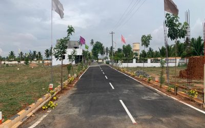 Lotus_Town_1